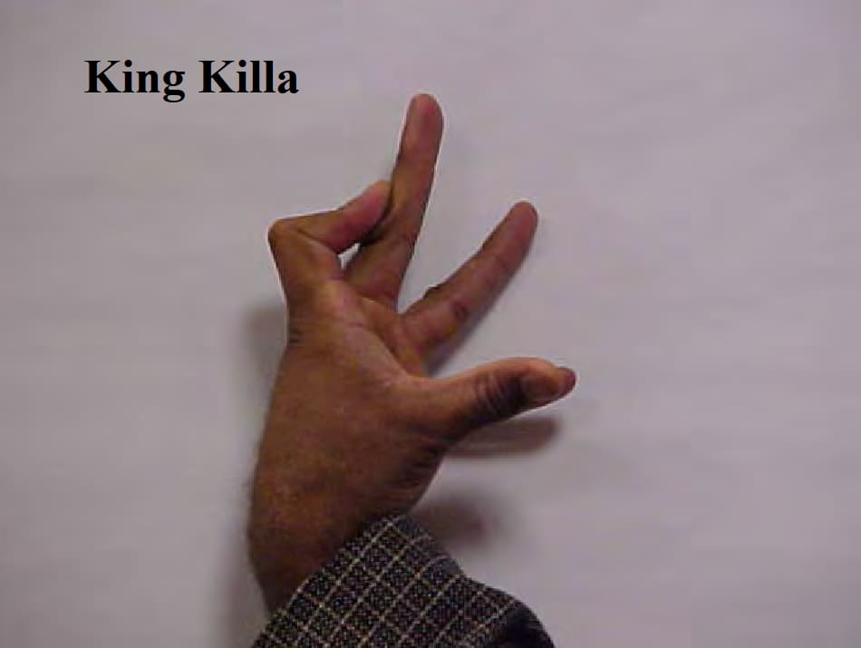 King killa gang sign
