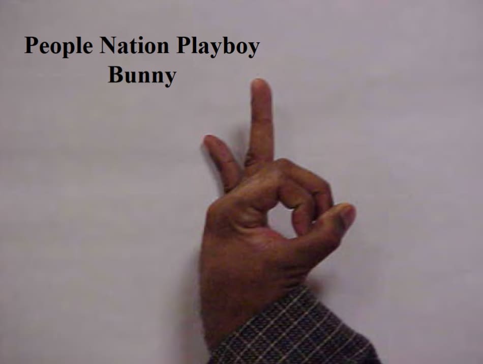 Playboy Bunny gang sign