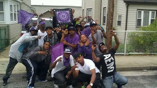 A Set of gang members with grape color clothing