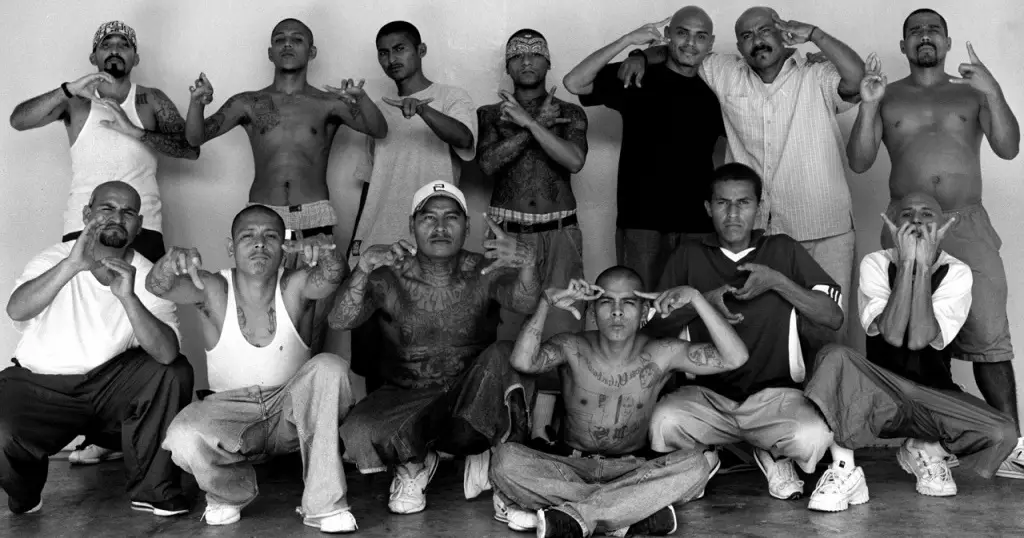 Bunch of MS-13 Gang members throwing gang signs