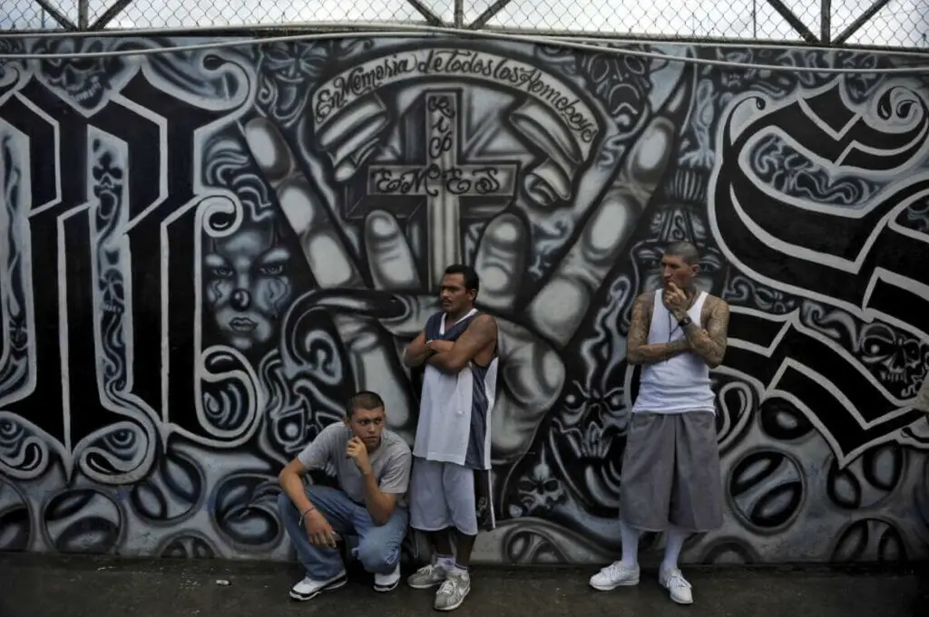 Three gang members in front of wall fully covered with MS13 graffiti