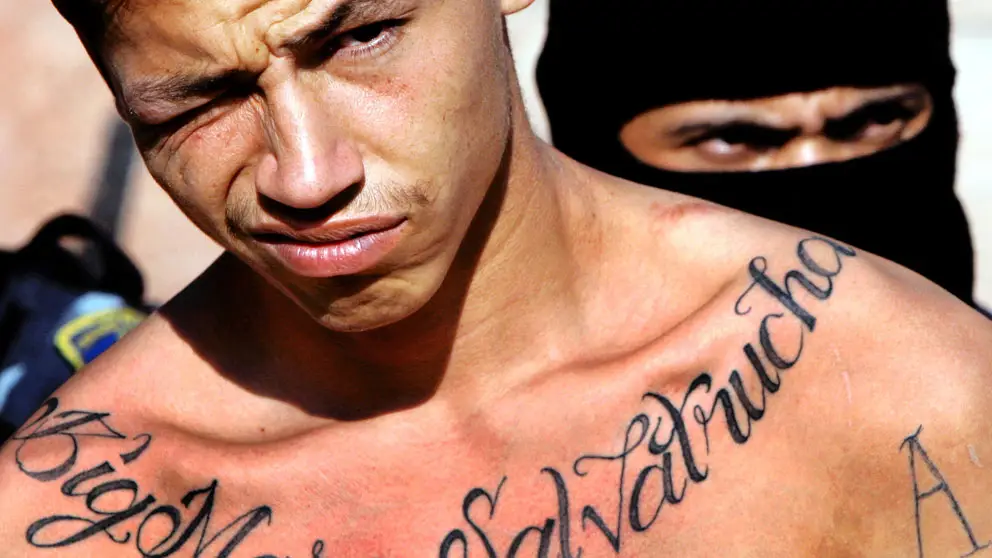 Mara Salvatrucha tatoo on chest of gang member