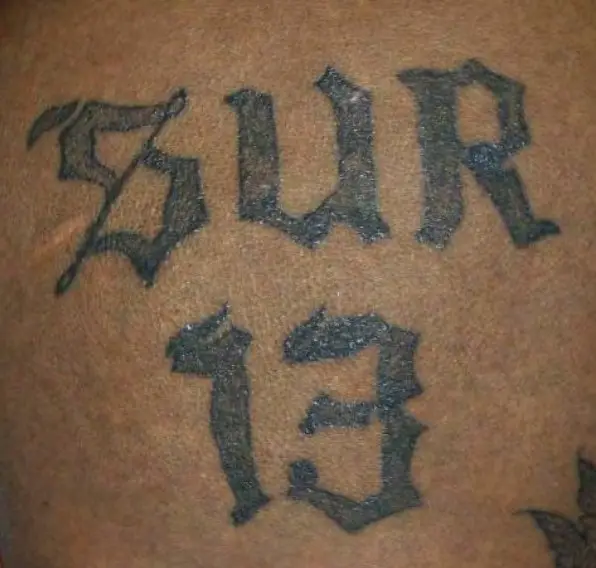 SUR13 tatoo